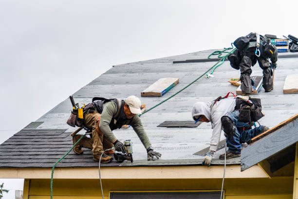 Professional Gutter Installation technician working in Dillard, OR